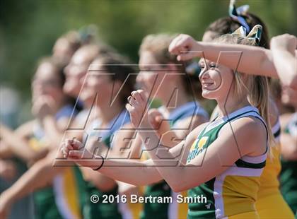 Thumbnail 3 in Williamsville North @ Kenmore West photogallery.