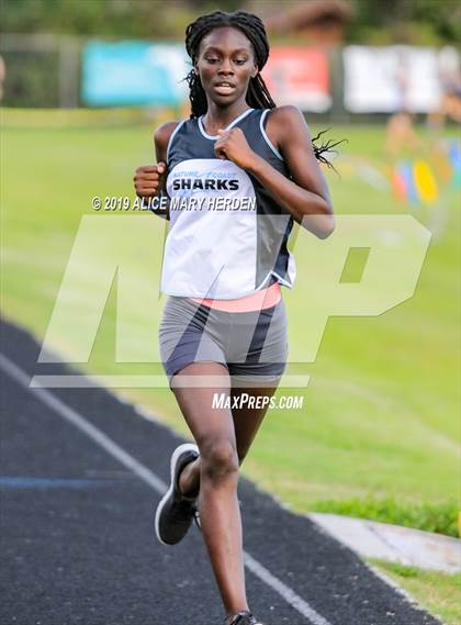 Thumbnail 2 in Hernando Invitational photogallery.