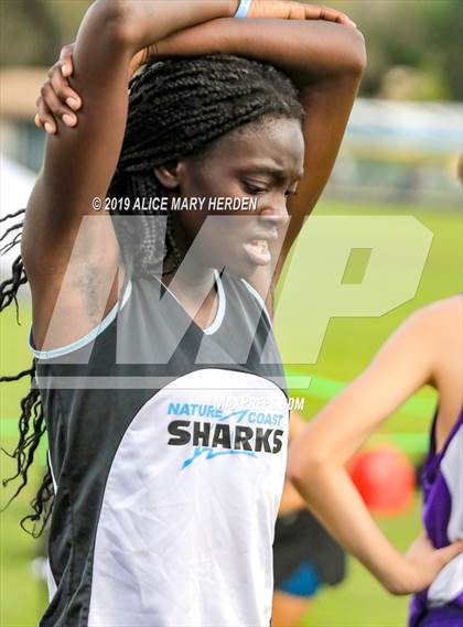 Thumbnail 1 in Hernando Invitational photogallery.