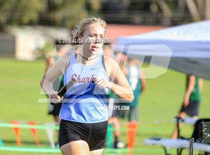Thumbnail 3 in Hernando Invitational photogallery.