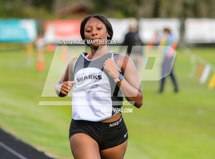 Thumbnail 2 in Hernando Invitational photogallery.