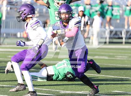 Thumbnail 3 in Tokay @ St. Mary's photogallery.