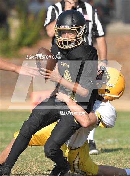 Thumbnail 3 in Edison @ Canyon photogallery.