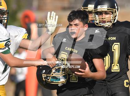 Thumbnail 1 in Edison @ Canyon photogallery.