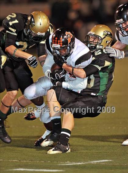 Thumbnail 1 in Aledo @ Birdville photogallery.
