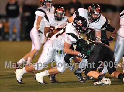 Thumbnail 1 in Aledo @ Birdville photogallery.