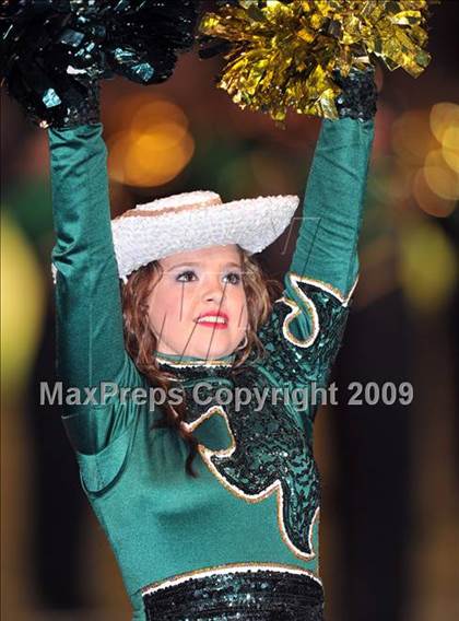 Thumbnail 1 in Aledo @ Birdville photogallery.