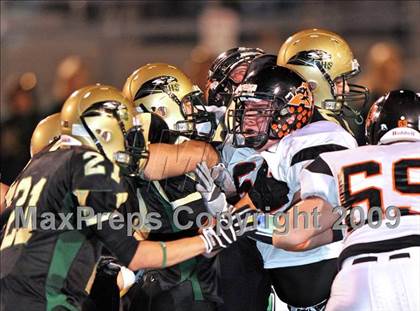 Thumbnail 3 in Aledo @ Birdville photogallery.