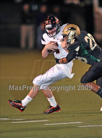 Thumbnail 2 in Aledo @ Birdville photogallery.