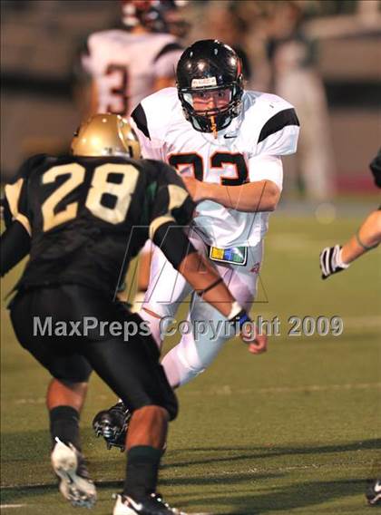 Thumbnail 1 in Aledo @ Birdville photogallery.