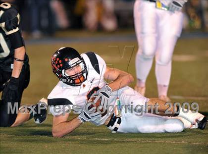 Thumbnail 2 in Aledo @ Birdville photogallery.