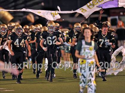 Thumbnail 1 in Aledo @ Birdville photogallery.