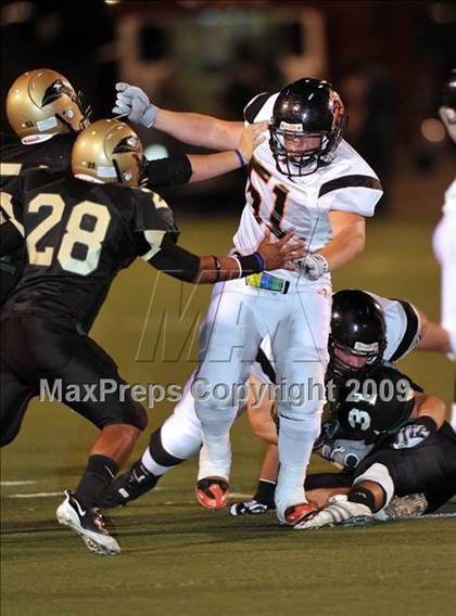 Thumbnail 3 in Aledo @ Birdville photogallery.