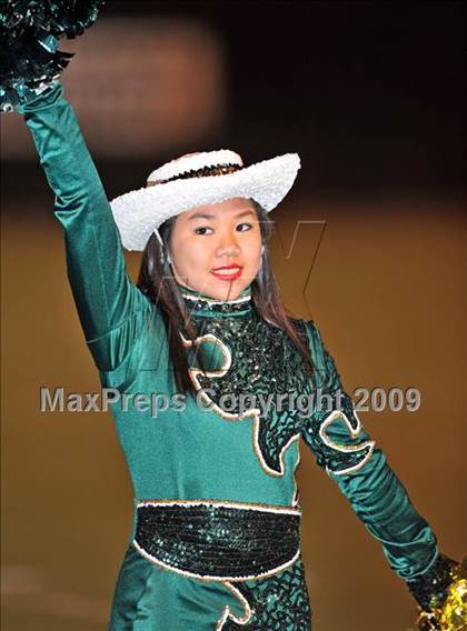 Thumbnail 1 in Aledo @ Birdville photogallery.