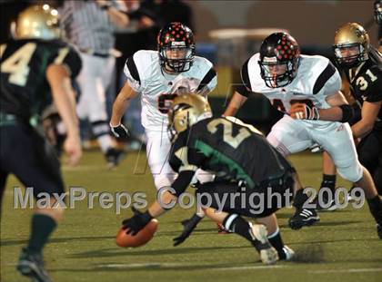 Thumbnail 3 in Aledo @ Birdville photogallery.
