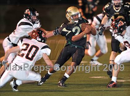 Thumbnail 1 in Aledo @ Birdville photogallery.