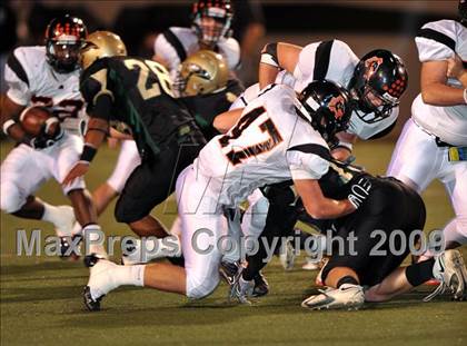 Thumbnail 2 in Aledo @ Birdville photogallery.