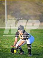 Photo from the gallery "Douglas @ Empire"