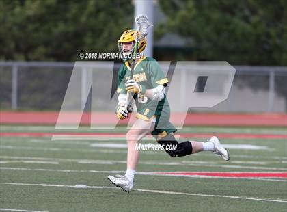 Thumbnail 1 in Stevenson @ Mundelein photogallery.