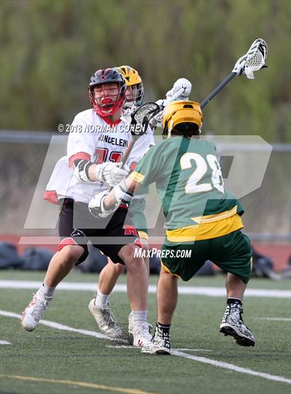 Thumbnail 3 in Stevenson @ Mundelein photogallery.