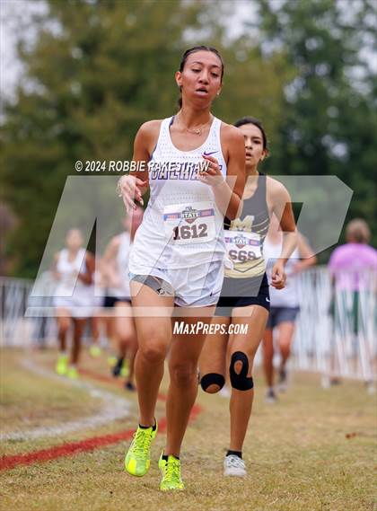 Thumbnail 2 in UIL Cross Country 3A Finals (3200m) photogallery.
