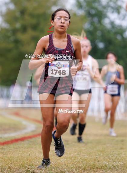 Thumbnail 1 in UIL Cross Country 3A Finals (3200m) photogallery.