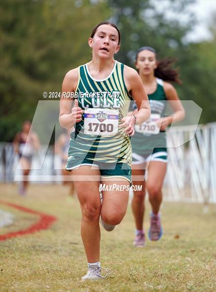 Thumbnail 3 in UIL Cross Country 3A Finals (3200m) photogallery.