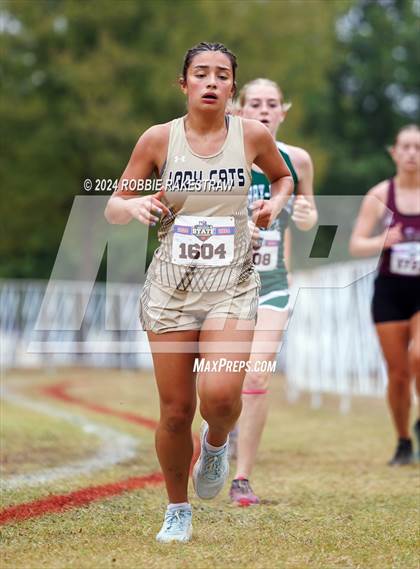 Thumbnail 1 in UIL Cross Country 3A Finals (3200m) photogallery.