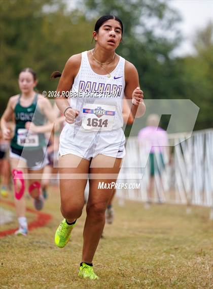 Thumbnail 3 in UIL Cross Country 3A Finals (3200m) photogallery.