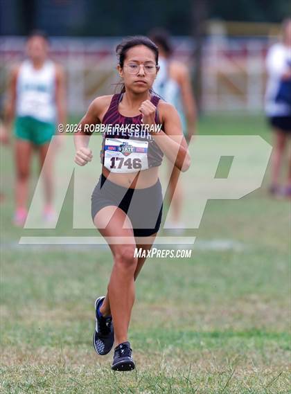 Thumbnail 1 in UIL Cross Country 3A Finals (3200m) photogallery.