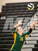 Photo from the gallery "Ashley @ Apex"