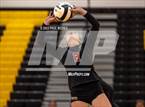 Photo from the gallery "Ashley @ Apex"