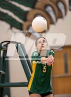Photo from the gallery "Ashley @ Apex"