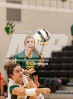 Photo from the gallery "Ashley @ Apex"