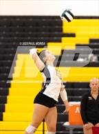 Photo from the gallery "Ashley @ Apex"