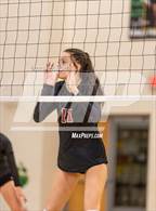 Photo from the gallery "Ashley @ Apex"