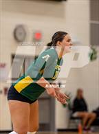 Photo from the gallery "Ashley @ Apex"