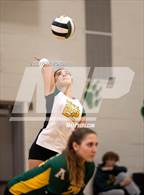 Photo from the gallery "Ashley @ Apex"