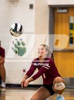 Photo from the gallery "Ashley @ Apex"