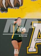 Photo from the gallery "Ashley @ Apex"