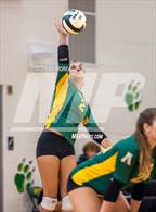 Photo from the gallery "Ashley @ Apex"