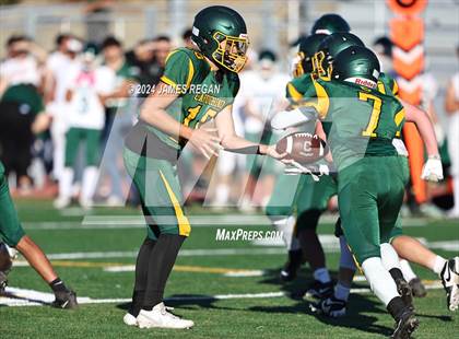 Thumbnail 1 in JV: Homestead @ Capuchino photogallery.