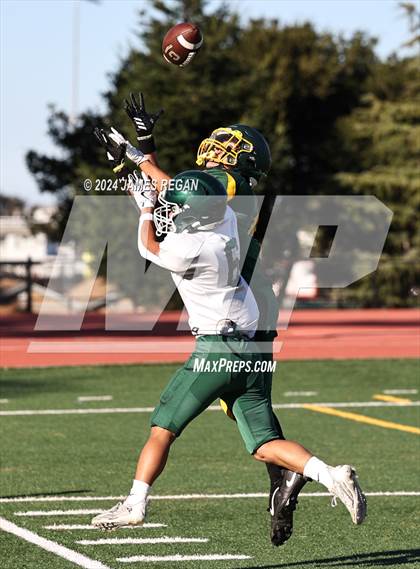 Thumbnail 3 in JV: Homestead @ Capuchino photogallery.