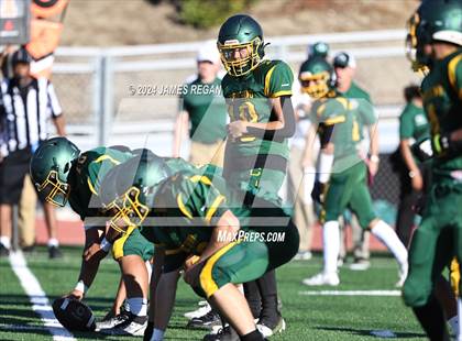 Thumbnail 3 in JV: Homestead @ Capuchino photogallery.