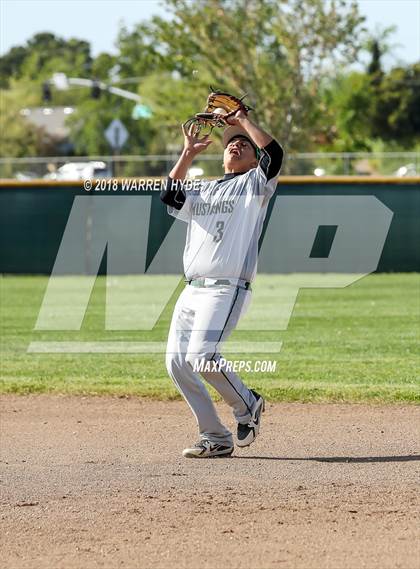 Thumbnail 2 in Jesuit @ Monterey Trail photogallery.