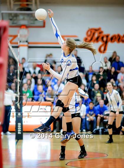 Thumbnail 2 in Rocklin vs. Roseville (CIF SJS D2 Semifinal) photogallery.