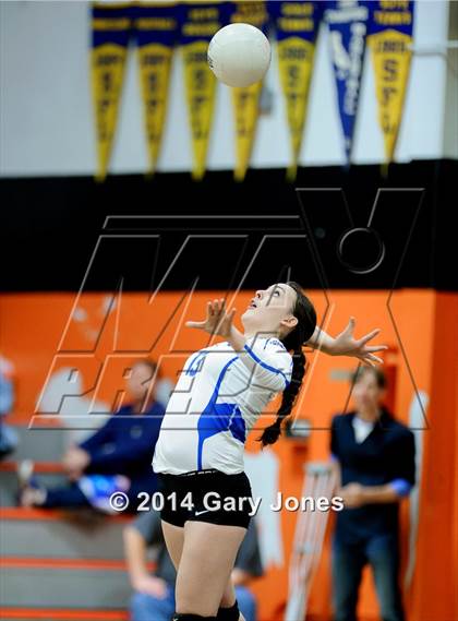 Thumbnail 2 in Rocklin vs. Roseville (CIF SJS D2 Semifinal) photogallery.