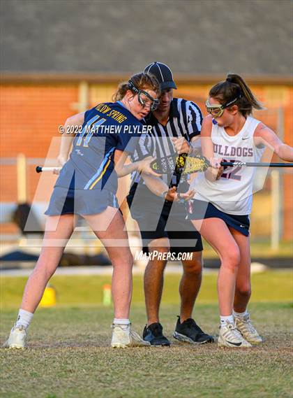 Thumbnail 3 in Willow Spring @ Terry Sanford photogallery.
