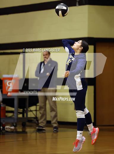 null - Photo 01