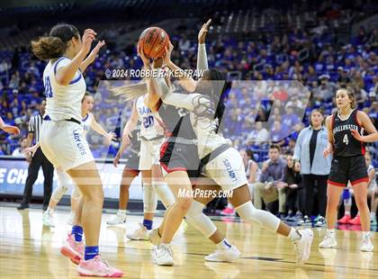 Thumbnail 3 in Rains vs. Shallowater (UIL 3A Basketball Semifinal) photogallery.